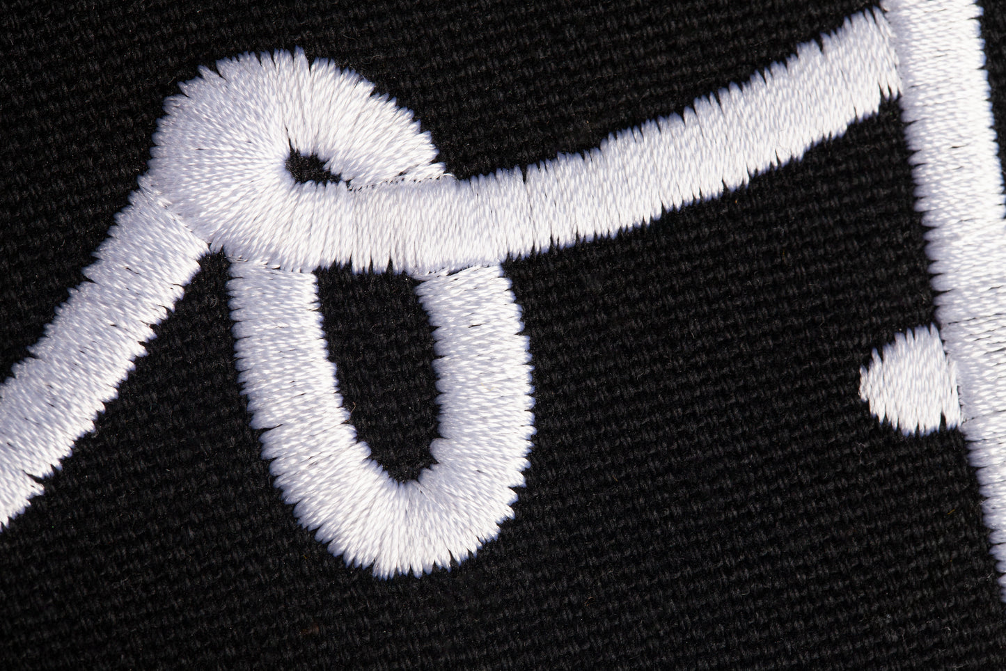 Embroidered Throw Pillow - FHL - Black